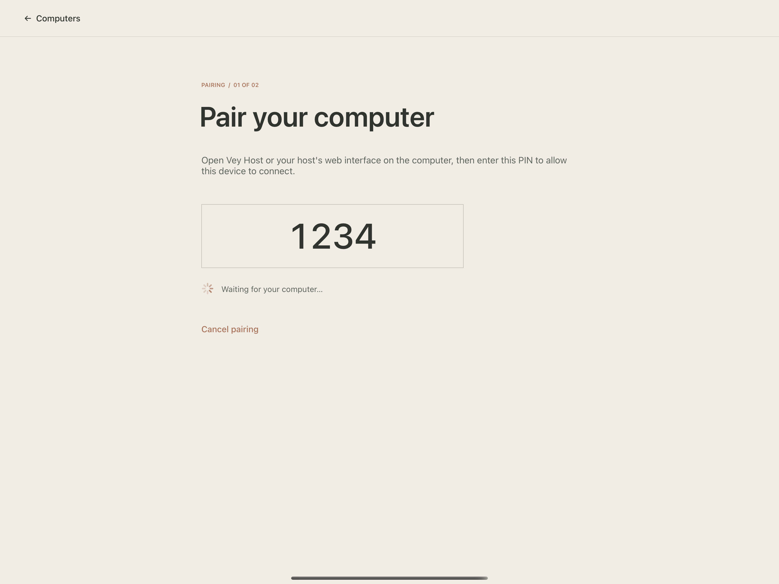 In Vey · Keep the PIN page open. Use your own four-digit code, not the example 1234.